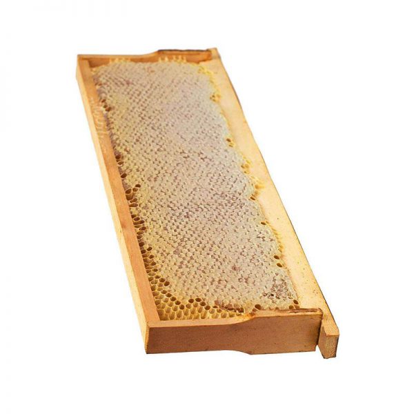 عسل مومدار طبیعی زیرفون جنگلی