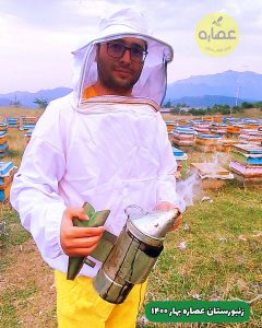 دودی زنبور عسل