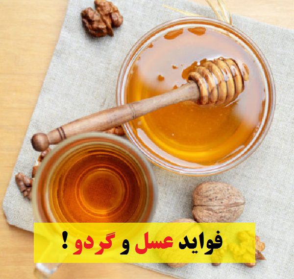 خواص عسل با گردو |از طرز تهیه تا مصرف|