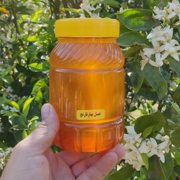خرید عسل بهارنارنج