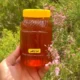 خرید عسل گزانگبین طبیعی