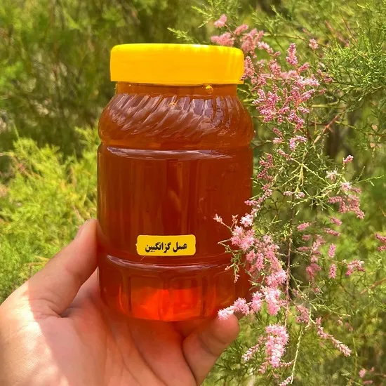 خرید عسل گزانگبین طبیعی