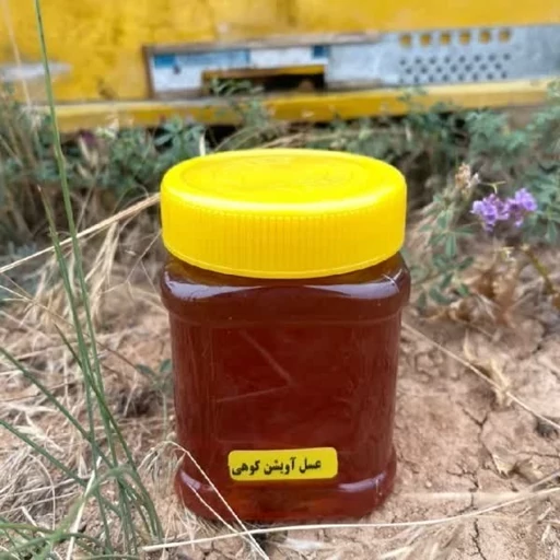 عسل آویشن نیم کیلویی